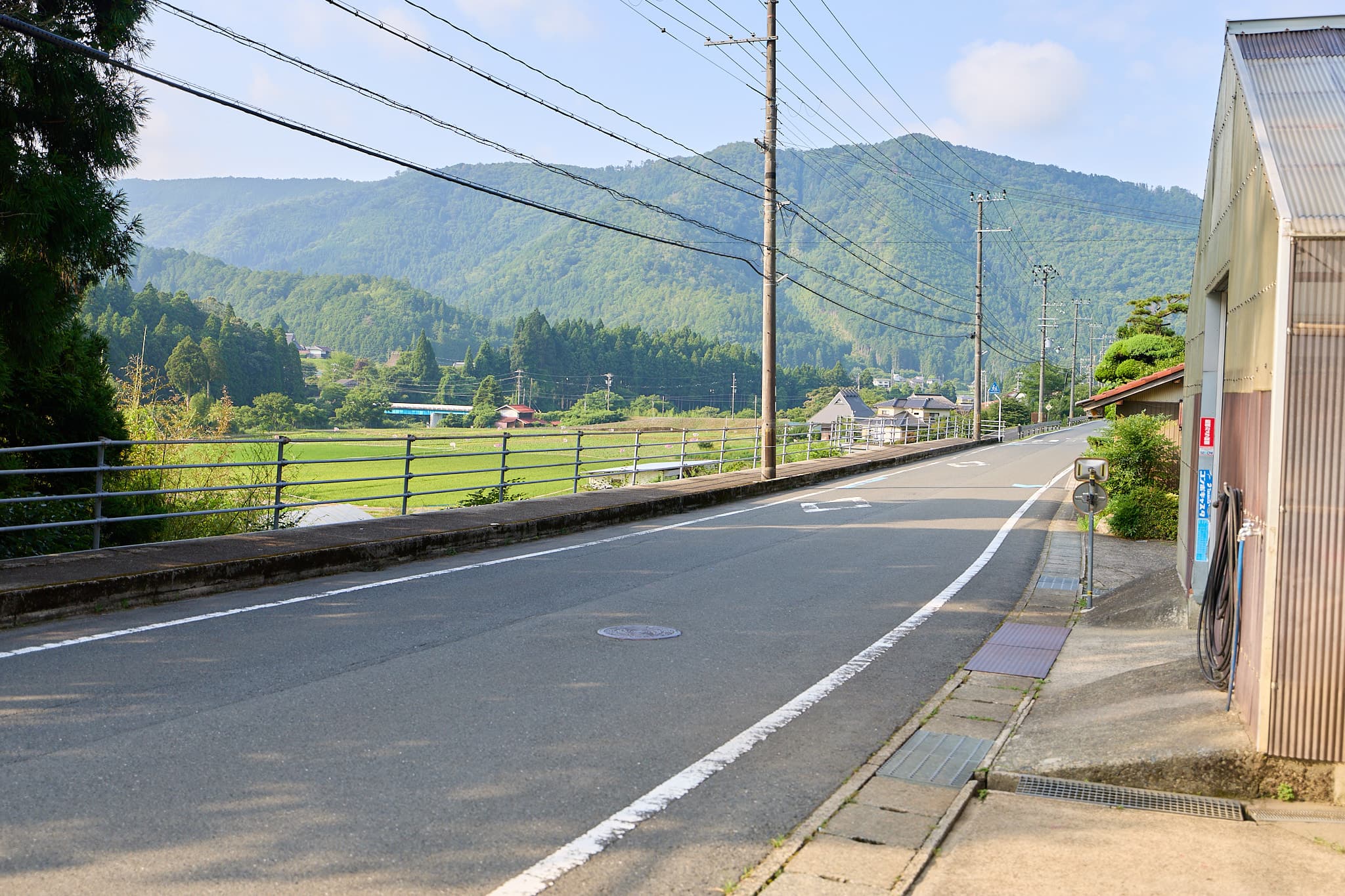 美山の里の風景。青田と山なみ、里を抜ける道
