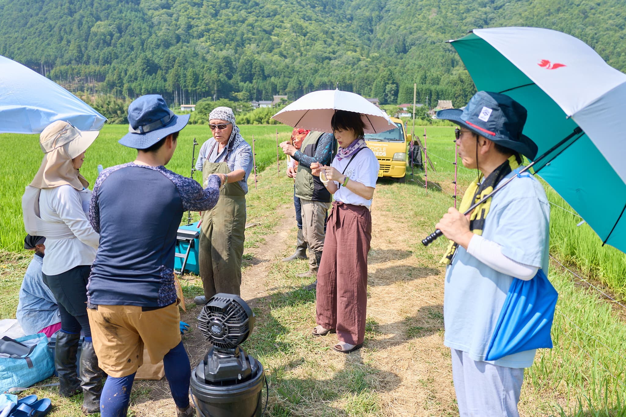 美山での撮影より