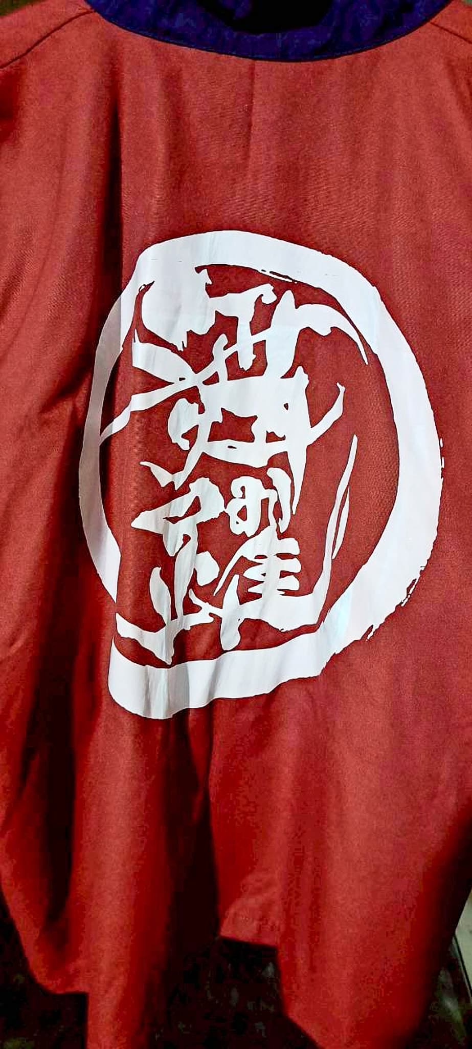 背面に「舞い踊る」の円形ロゴをプリントした法被