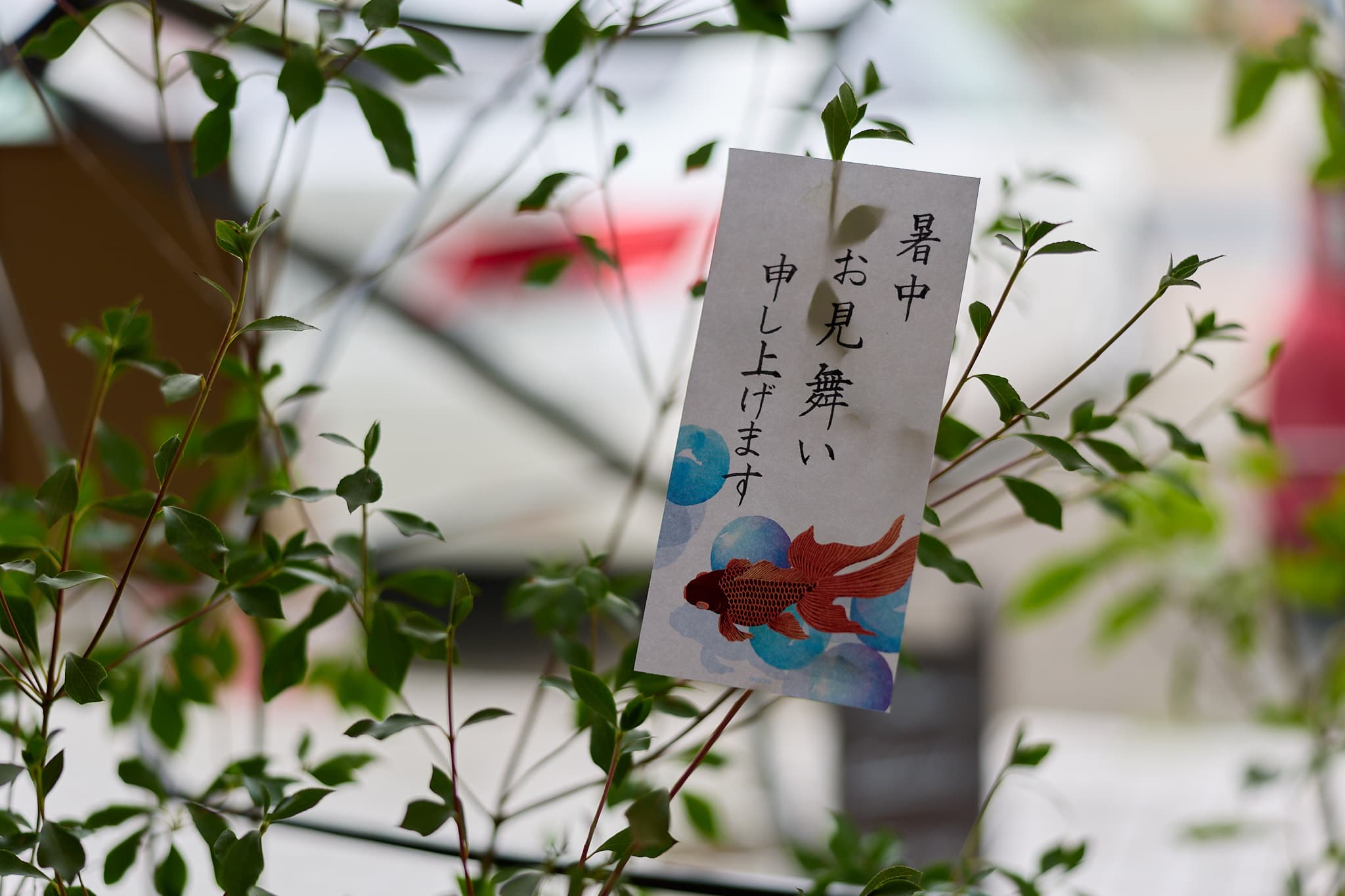 緑の枝葉の間に吊るした金魚柄の短冊に「暑中お見舞い申し上げます」と書いた作品